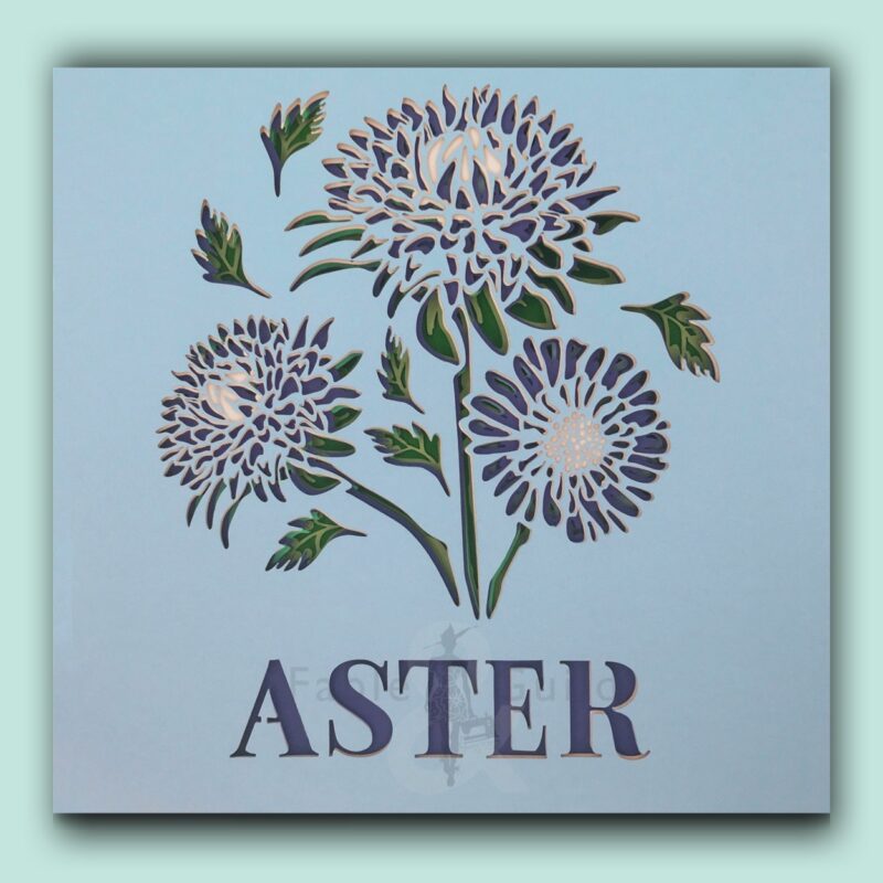 Botanic Aster