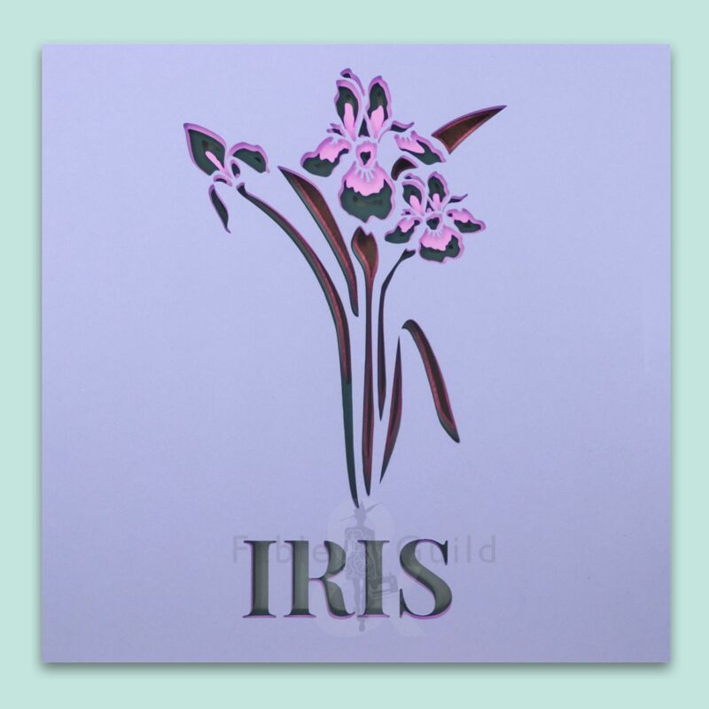 Botanic Iris