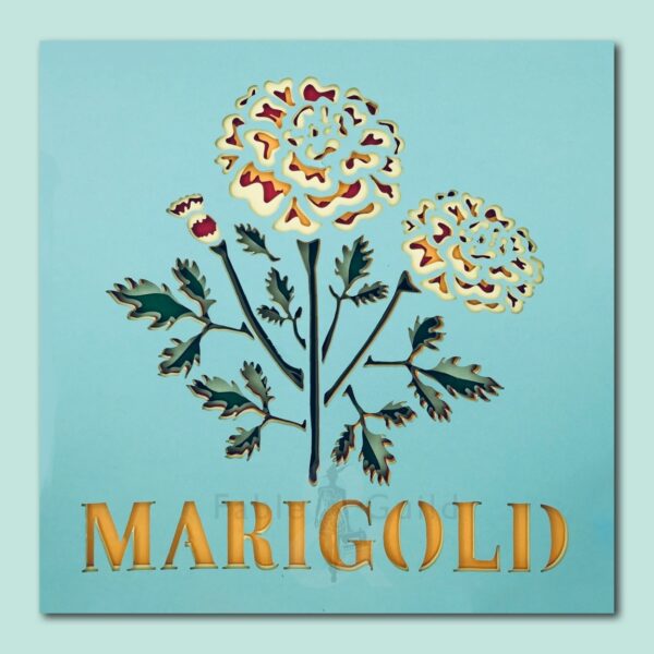 Botanic Marigold