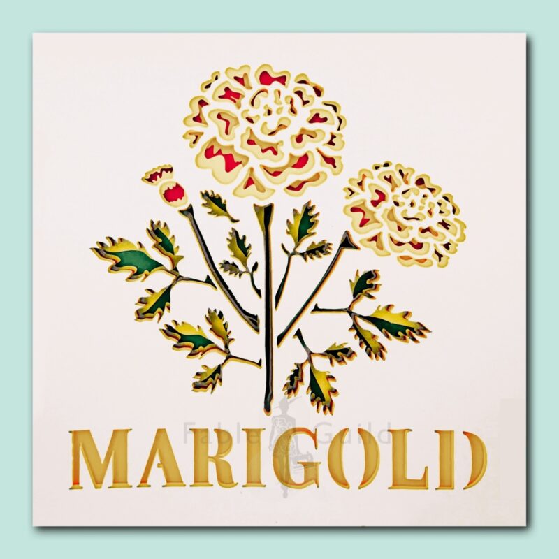 Botanic Marigold