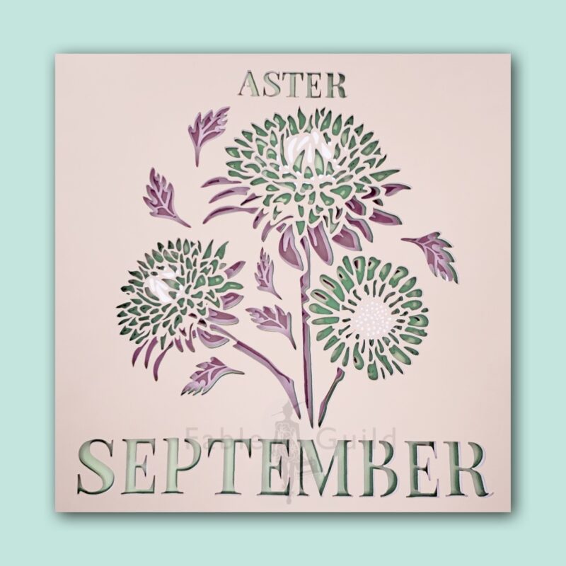 September Aster