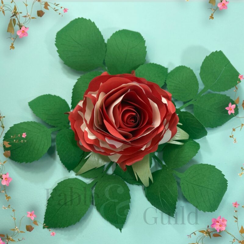 Grandiflora Pop Rose - Paper Rose Template