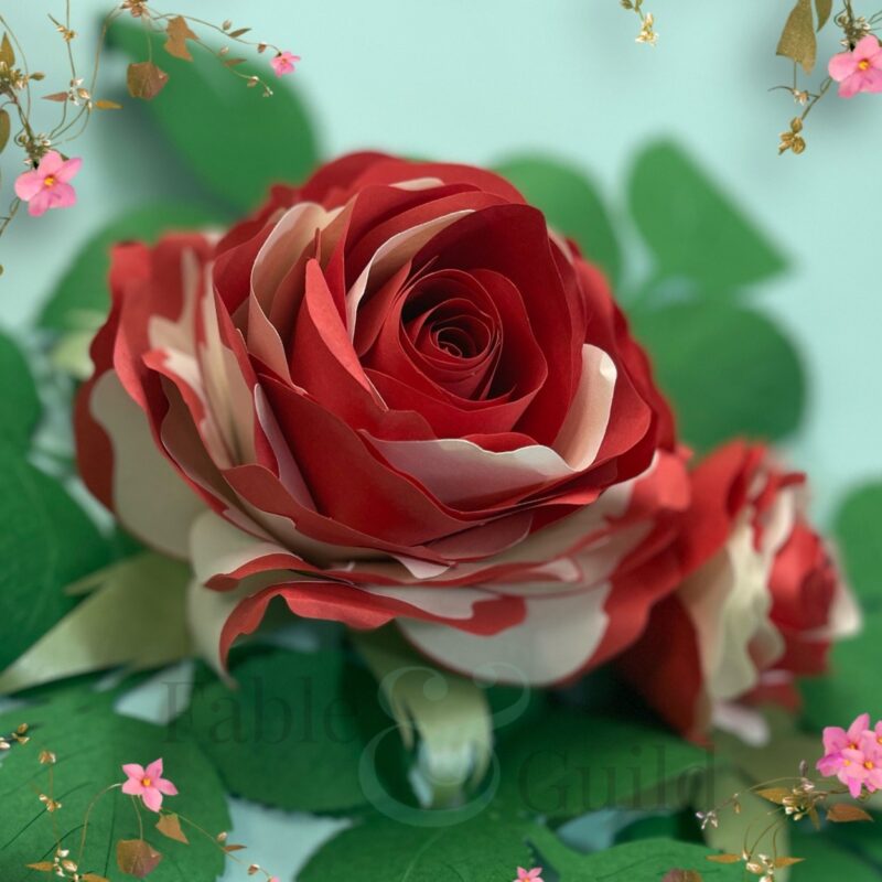 Grandiflora Pop Rose - Paper Rose Template